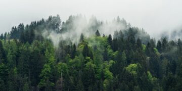 Трагедія в горах: загинув 26-річний чоловік — Закарпаття