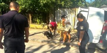 В Ужгороді встановили власницю собак, які нападали на людей. Тварин вилучили — Ужгород