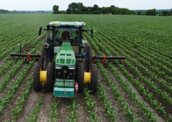 Культиватор IRIS-К зменшив втрати посівів майже до нуля, – агроном «Агрейн» – Техніка