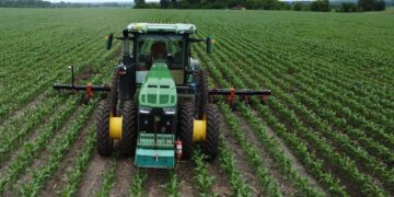 Культиватор IRIS-К зменшив втрати посівів майже до нуля, – агроном «Агрейн» – Техніка