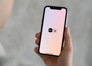 У «Дії» фіксують технічні проблеми при вході: у чому причина і як це виправити — Закарпаття