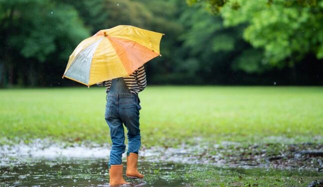 На Закарпатті прогнозують короткочасні дощі — Закарпаття