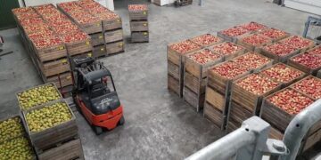 Кількість плодів та місце їх збору у кожному контейнері фіксує комп’ютер – Техніка