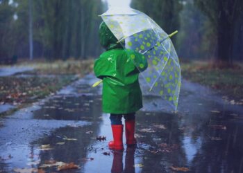 Дощі та грози. Синоптики розповіли, які частини України накриє негода