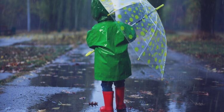 Дощі та грози. Синоптики розповіли, які частини України накриє негода