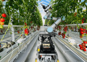 В Китаї створили робота для повного циклу селекції – Техніка