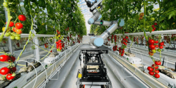 В Китаї створили робота для повного циклу селекції – Техніка