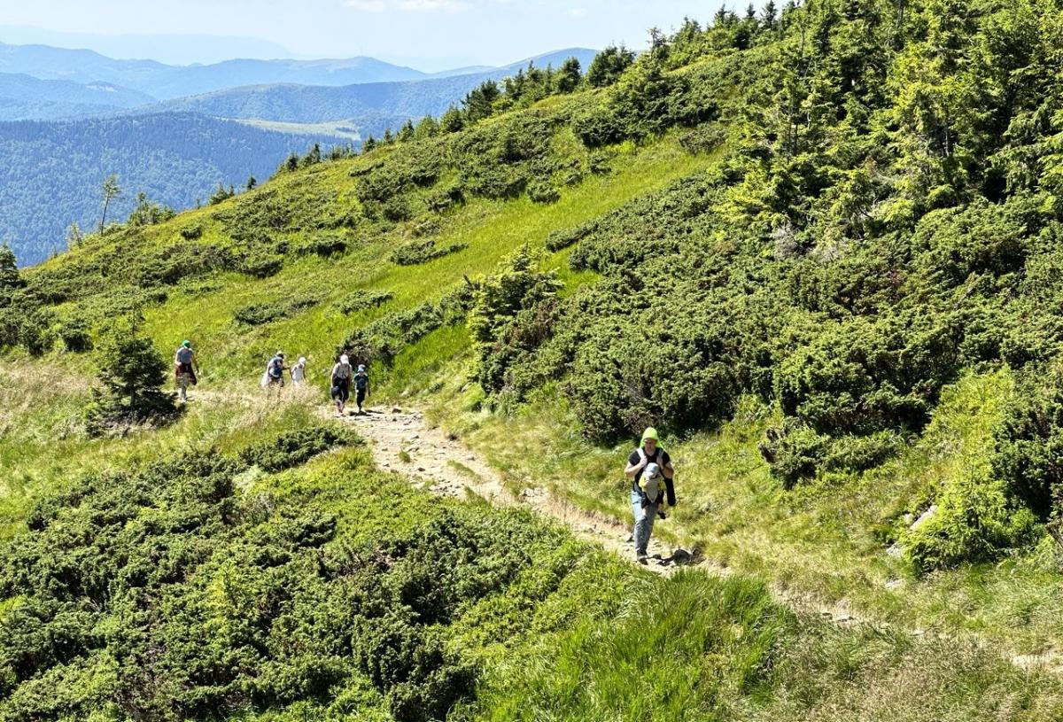 Українці підкорюють Говерлу цілими родинами / фото Наталія Петерварі