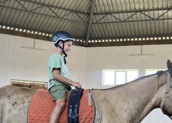 Канікули з кіньми: на Закарпатті провели табір верхової їзди для наймолодших –