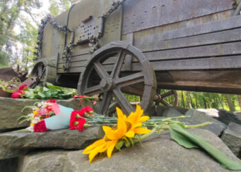 “Казали, що ми не повинні жити на світі, бо ми роми, ми зіпсована нація”, — згадують очевидці нацистського геноциду