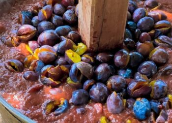 «Леквар перемоги» у Мукачеві приніс майже 100 тис. грн для ЗСУ (ФОТО)