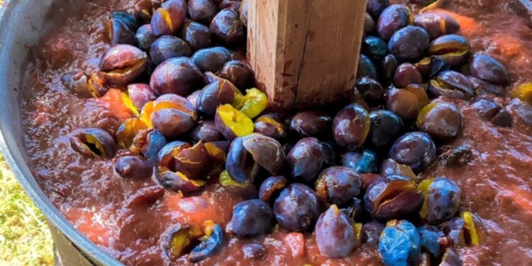 «Леквар перемоги» у Мукачеві приніс майже 100 тис. грн для ЗСУ (ФОТО)