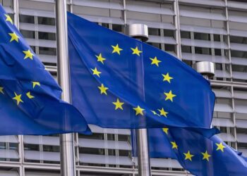 Лідери Європи закликали Трампа під час переговорів з Путіним захищати інтереси України