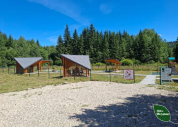 Лісівники ДП «Ліси України» облаштовують частину велосипедного маршруту в Карпатах