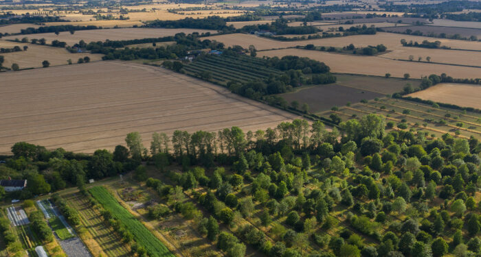 Малих фермерів в Україні запрошують пройти опитування про актуальні виклики та можливості