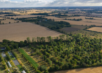 Малих фермерів в Україні запрошують пройти опитування про актуальні виклики та можливості