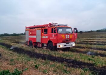 На Берегівщині рятувальники за добу ліквідували три пожежі сухостою (ФОТО)