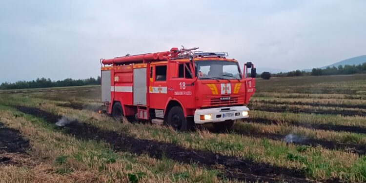На Берегівщині рятувальники за добу ліквідували три пожежі сухостою (ФОТО)