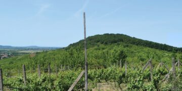 На Закарпатті археологи виявили руїни ще одного середньовічного замку (ФОТО)