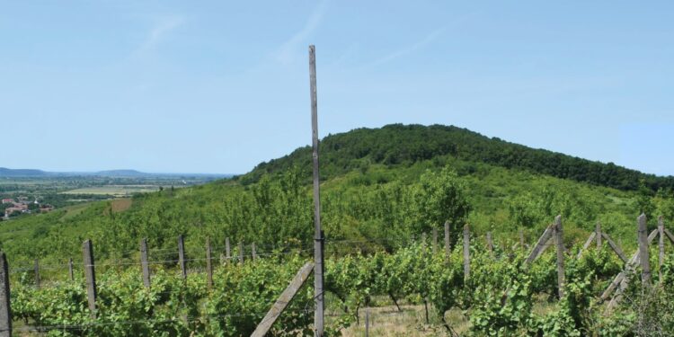 На Закарпатті археологи виявили руїни ще одного середньовічного замку (ФОТО)