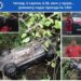На Закарпатті іноземець зірвався на авто у прірву (ФОТО)