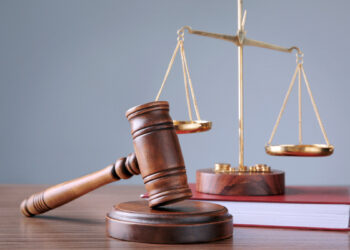 На Закарпатті оштрафували ексочільницю МСЕК за приховану землю вартістю 16 млн грн