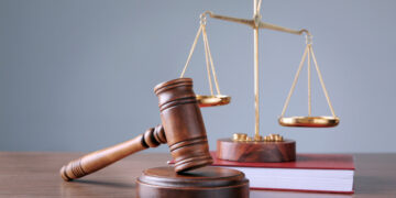 На Закарпатті оштрафували ексочільницю МСЕК за приховану землю вартістю 16 млн грн