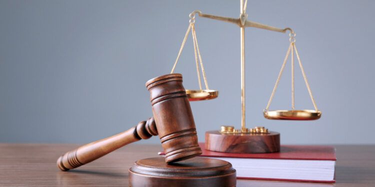 На Закарпатті оштрафували ексочільницю МСЕК за приховану землю вартістю 16 млн грн