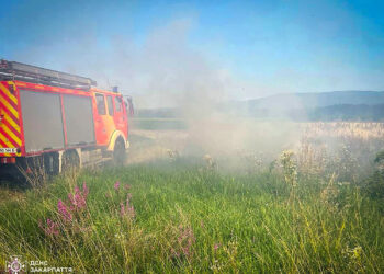 На Закарпатті за день сталося чотири пожежі в екосистемах (ФОТО)