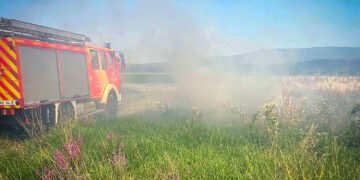 На Закарпатті за день сталося чотири пожежі в екосистемах (ФОТО)