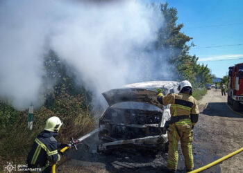 Невдале “тихе полювання”: на Берегівщині  згоріло авто грибників –