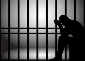 Незаконна багатоповерхівка на газоні: посадовець Ужгородської міськради під вартою –