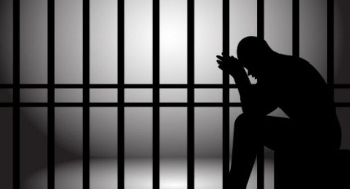 Незаконна багатоповерхівка на газоні: посадовець Ужгородської міськради під вартою –