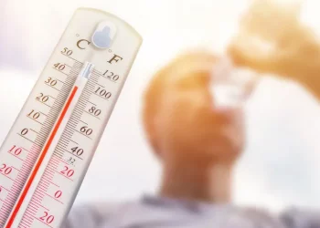 Организм человека стареет от чрезмерной жары – результаты исследования – Здоров’я