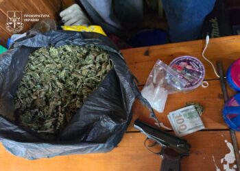 Пів кілограма наркотиків та зброя: подробиці затримання наркоугруповання на Закарпатті (ФОТО) –