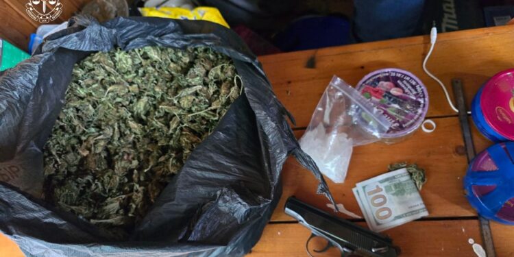 Пів кілограма наркотиків та зброя: подробиці затримання наркоугруповання на Закарпатті (ФОТО) –