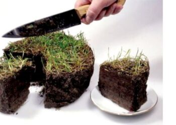 Посадовець терпідрозділу Держземагентства “недбало” допоміг вкрасти земель нацпарку “Синевир” на 45 млн грн