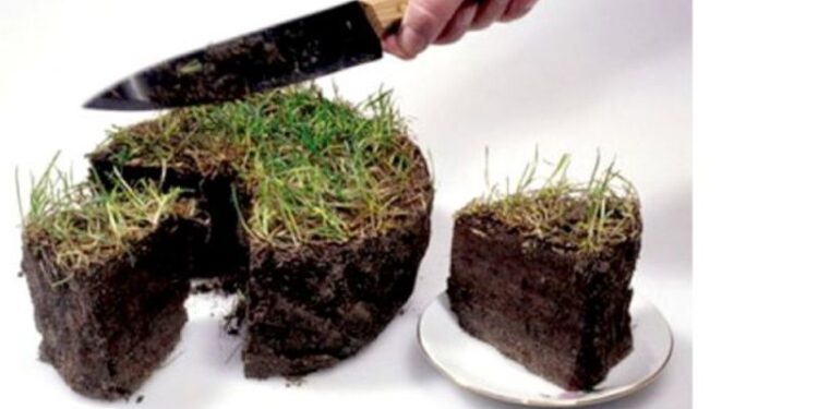 Посадовець терпідрозділу Держземагентства “недбало” допоміг вкрасти земель нацпарку “Синевир” на 45 млн грн