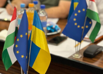 Правопорушень на 120 млн грн задокументували закарпатські митники завдяки міжнародній співпраці