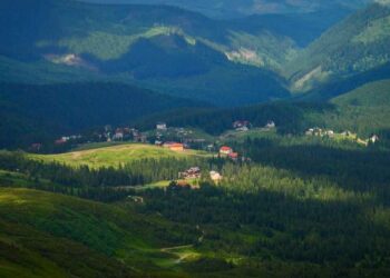 Шахрайство з землею на Драгобраті: на Закарпатті арештували підозрюваного за аферу на 12,5 млн грн –