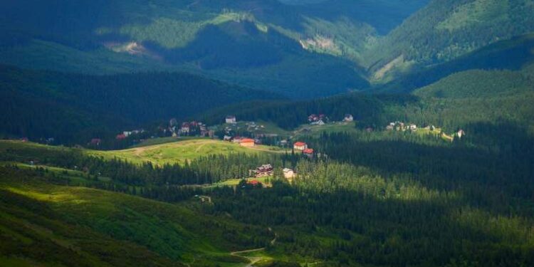 Шахрайство з землею на Драгобраті: на Закарпатті арештували підозрюваного за аферу на 12,5 млн грн –