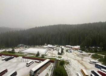 У Карпатах випав перший сніг (ФОТО)