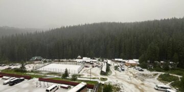 У Карпатах випав перший сніг (ФОТО)