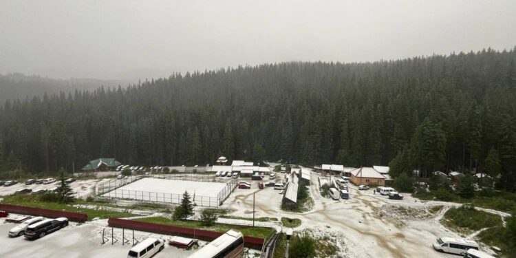 У Карпатах випав перший сніг (ФОТО)