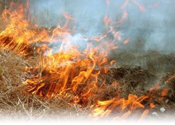 У Жукові під час гасіння пожежі виявили тіло жінки