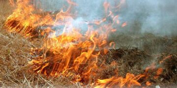 У Жукові під час гасіння пожежі виявили тіло жінки