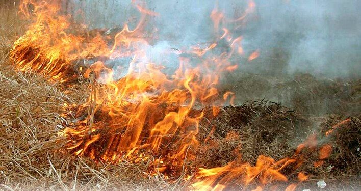 У Жукові під час гасіння пожежі виявили тіло жінки