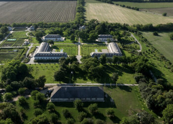 В Угорщині розгорівся скандал через “дачу” Орбана з пальмами та зебрами – “як у Януковича”