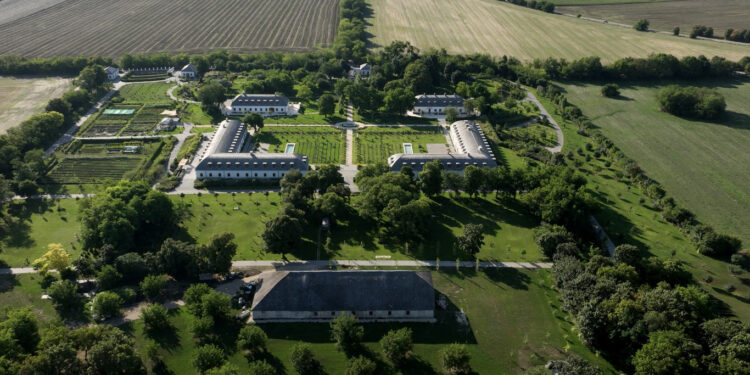В Угорщині розгорівся скандал через “дачу” Орбана з пальмами та зебрами – “як у Януковича”