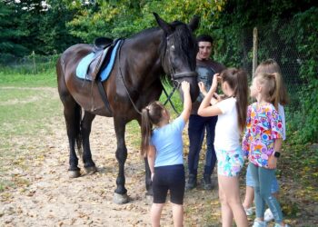 В Ужгороді організували іпотерапевтичний захід для родин загиблих захисників (ФОТО)